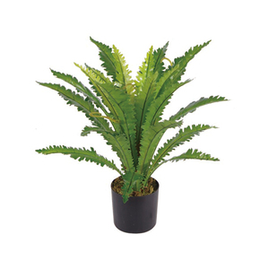 0.5 m Nido Felce Piccolo Artificiale Pianta <span class=keywords><strong>In</strong></span> <span class=keywords><strong>Vaso</strong></span> - Product Image 1