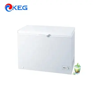 Harga Freezer Dalam Pintu Lipat Satu Pintu Lipat Kapasitas Beku Besar 400L