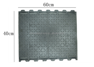 Todo tipo de pisos de hierro fundido para cerdo, para cajas de remos - Product Image 2