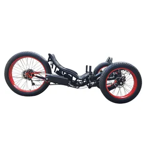 Strand Cruiser 500watt Motor Elektrische Fett Tad Kaulquappe Liegerad Dreirad Trike