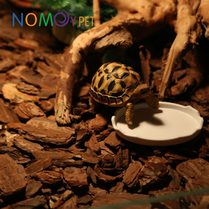 NOMOY PET Venta Directa de Fábrica al <span class=keywords><strong>por</strong></span> Mayor, Plato Pequeño de Plástico PP de Grado Alimenticio, Tazón para <span class=keywords><strong>Comida</strong></span> y Agua para Reptiles NW-02 - Product Image 4