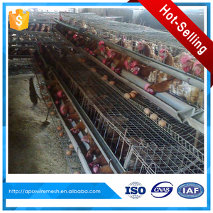 <span class=keywords><strong>Venta</strong></span> <span class=keywords><strong>de</strong></span> pollo <span class=keywords><strong>de</strong></span> cría en jaulas en batería en pakistán - Product Image 1