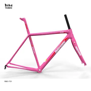 Chinese fabrikant hot selling carbon bike frames groothandel