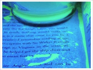 Sáng phát sáng trong bóng tối ánh sáng huỳnh quang sắc tố bột - Product Image 6