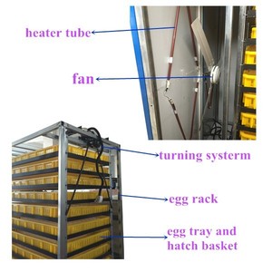 Grand incubateur <span class=keywords><strong>industriel</strong></span> pour 22528 œufs, pour l'incubation et l'éclosion des œufs - Product Image 2