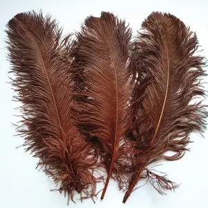 Wholesale large 55-60cm dyed brown ostrich feather for garment decoration