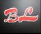 Zhejiang Bangli Medical Products Co., Ltd. logo