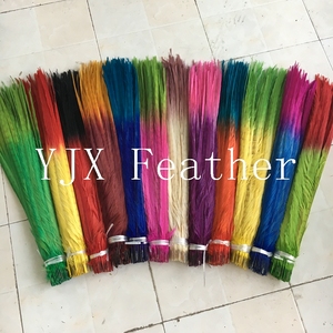 Đầy Màu sắc gà lôi đuôi lông cho Carnival Samba trang phục - Product Image 2