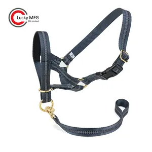 Hundehalfter mit Sicherheitsgurt, gepolstertes Kopfgeschirr für kleine, mittelgroße und große Hunde - Product Image 1