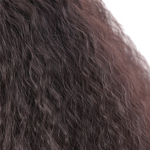 Parrucca Sintetica Resistente al Calore con Frontale in Pizzo per Donne, Stile Liscio Crespo e Riccio, Colore Naturale - Product Image 6
