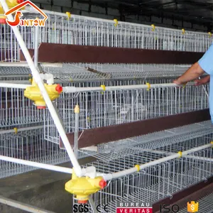 Factory Price Layer Broiler Pullet Chicken Cage For Pakistan For Poultry Farm