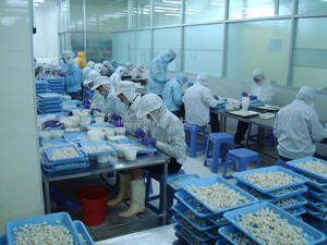 Thon gelé Bullet Produit de <span class=keywords><strong>poisson</strong></span> de qualité supérieure - Product Image 6