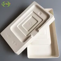 Bandeja de papel de embalagem reciclável, embalagem personalizada da bandeja do empacotamento moldado da polpa