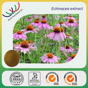 <span class=keywords><strong>Hplc</strong></span> kosher fda 2% 4% ácido chicórico, 4% ácidos fenólicos, 4% 8% echinacea echinacea purpurea extracto de polifenoles - Product Image 3