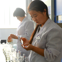 With Complete in Specifications Elemental Analyzers in Scientific Research for Nonferrous Metal Analysis