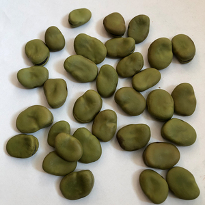 2020 Crop <span class=keywords><strong>Broad</strong></span> Beans Màu Xanh Lá Cây Fava Beans 70-80 Trung Quốc Nguồn Gốc - Product Image 2