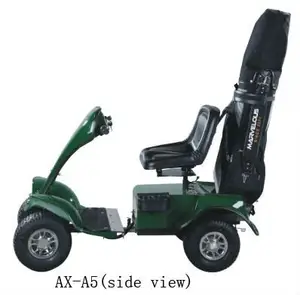 2 seater curtis 관제사 (AX-A4) 와 세륨 승인을 가진 소형 전기 골프 카트