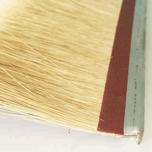 Polijsten Schurende <span class=keywords><strong>Strip</strong></span> <span class=keywords><strong>Tampico</strong></span> Borstel Sander Borstel Voor Schuren Systeem - Product Image 5