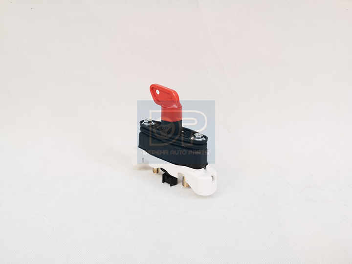 20514309 21243844 21199003 7421199003 Depehr European Electrical  