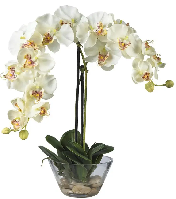 Phalaenopsis, Hiasan Bunga Sutra dengan Vas Kaca, Putih