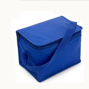 Hot sale Aluminium foil insulated pp laminated cooler bag non woven, cheap cool carry cooler bag