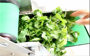 Tipo cortador Cortadora de vegetales pepino verde brotes de bambú Ronda Plátano Fritas Máquina Cortadora industrial - Product Image 6