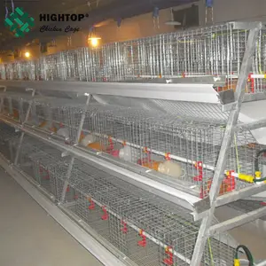 China (Festland) Herstellung H Typ Geflügel Zucht Käfig Bauen Broiler Hühnerställe