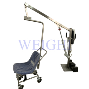 Elevador de <span class=keywords><strong>piscina</strong></span> giratorio de acero inoxidable WeighI WPS con <span class=keywords><strong>silla</strong></span> para discapacitados - Product Image 3
