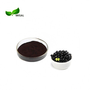 핫 세일 에너지 보충 검은 콩 추출물/검은 콩 분말 - Product Image 2