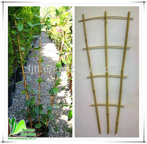 Haute Qualité Bambou Treillis En Bambou <span class=keywords><strong>Support</strong></span> de <span class=keywords><strong>Plante</strong></span> - Product Image 3