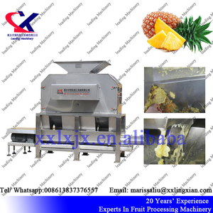 Efficacité Grande Capacité <span class=keywords><strong>Pulpe</strong></span> D'<span class=keywords><strong>ananas</strong></span> Faisant La Machine - Product Image 3