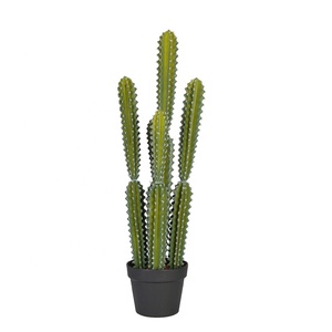 <span class=keywords><strong>Interior</strong></span> planta ornamental <span class=keywords><strong>suculentas</strong></span> al aire libre plantas <span class=keywords><strong>cactus</strong></span> artificial de plástico decoración de <span class=keywords><strong>cactus</strong></span> - Product Image 1