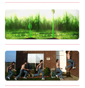 Thiết Bị Phim DSLR Trượt Cho Máy Ảnh Với Điều Khiển Điện Tử Tua Nhanh Thời Gian Để Quay Phim - Product Image 5