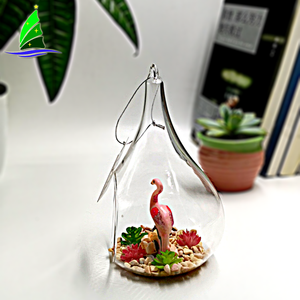 <span class=keywords><strong>Terrarium</strong></span> de verre transparent soufflé à la main, Vase de planteur en verre soufflé, pour décoration de maison - Product Image 3