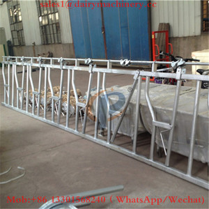 6 meter Dài của 8 Đầu Bò Khóa Nhà Máy Giá Chất Lượng Tốt Headlock cho Gia Súc - Product Image 6