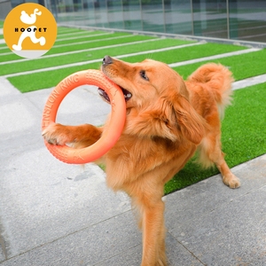<span class=keywords><strong>Pet</strong></span> <span class=keywords><strong>Shop</strong></span> Liefert EVA Interaktive Ausbildung Hund Spielzeug Dauerhafte - Product Image 2
