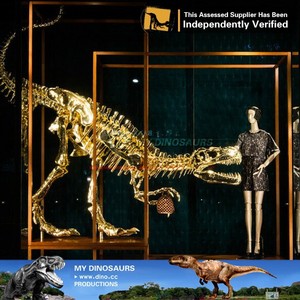 My <span class=keywords><strong>Dino</strong></span> AA645ขนาดชีวิตโครงกระดูกไดโนเสาร์สีทอง <span class=keywords><strong>Trex</strong></span> สำหรับจัดแสดง - Product Image 5