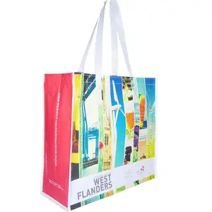 Print Shopping Bags Recycle Promotional RPET Shopping Bags Reusable Pet Bag With Custom Logo Printing