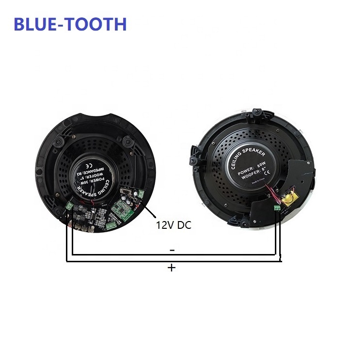 2026 Factory 2025 Factory Trade Price Active Amplified Frameless Ceiling Speaker for Pair Playing Phone Music For Public Address system music, · image 5
