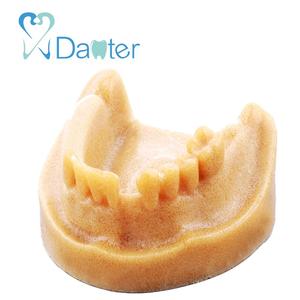 Modello mandibolare dentale in resina Danter con osso cancelloso 6x7x3cm modello A2028 per la pratica dell'impianto nella scienza medica - Product Image 1