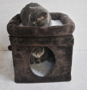 Feliz <span class=keywords><strong>casas</strong></span> para mascotas gato curioso cubo, marrón - Product Image 1