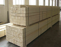 Poutre en bois lamellé-collé (LVL) pour la construction