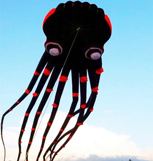 2 Pack Large ZERHOK Mollusc Octopus Kites Easy Flyer Beach Kite with Long lead 