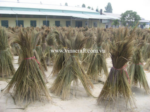 Recogedor de materia prima de escoba de hierba de Vietnam con cabezal de escoba de madera y plástico para limpieza a la venta - Product Image 3