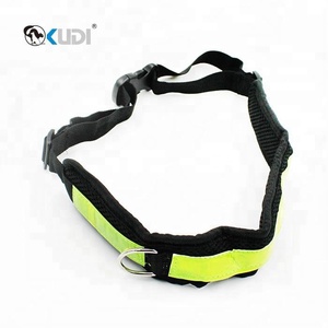 Manos Libres perro Bungee Correa Walker plomo con bolso de la cintura - Product Image 4