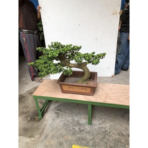 40Cm Mini Trong Nhà Màu Xanh Lá Cây Cây Thông Chất Lượng Cao Nhân Tạo Bonsai Nhà Máy Để Bán - Product Image 2