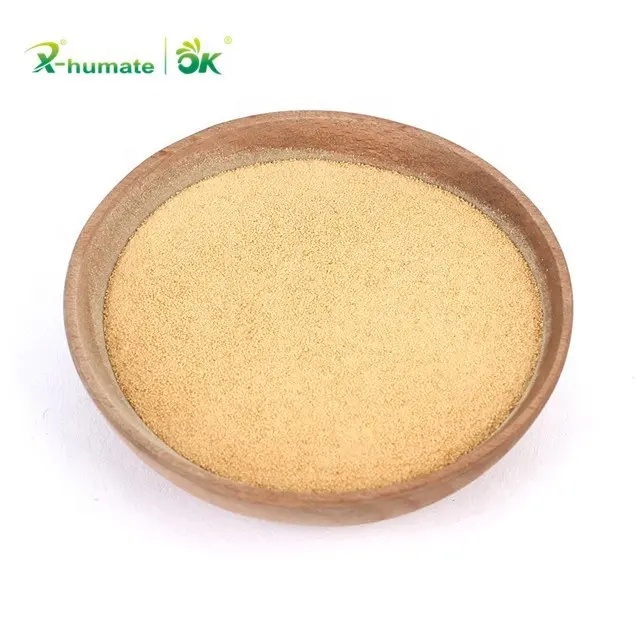 X-humate Agente de Crescimento Vegetal Fertilizante 40% 50% 60% 80% aminoácido Vegetal Fonte