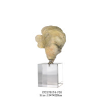 Statue de Huître, Sculpture, Ornements, Décoration d'Intérieur, Base en Cristal, Résine, Art Populaire Européen