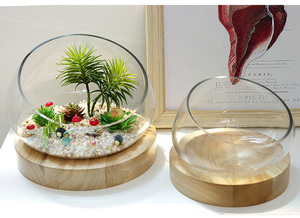 Terrarium en verre soufflé à la bouche fait à la main avec support en bois - Product Image 4