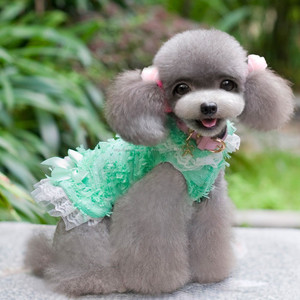 2015 venta caliente preparación del perro, invierno mascotas vestir, <span class=keywords><strong>sexy</strong></span> de encaje del arco floral vestido de invierno perro - Product Image 3